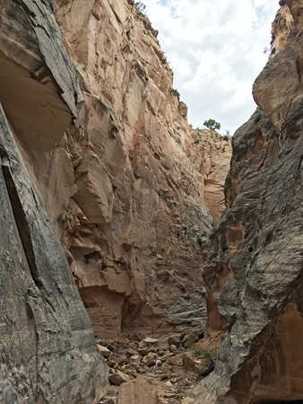 Photographs of Cottonwood Wash Narrows