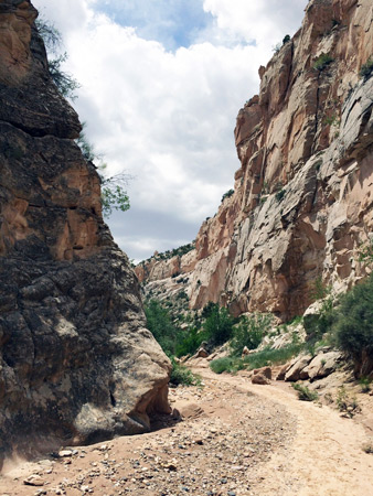 Photographs of Cottonwood Wash Narrows