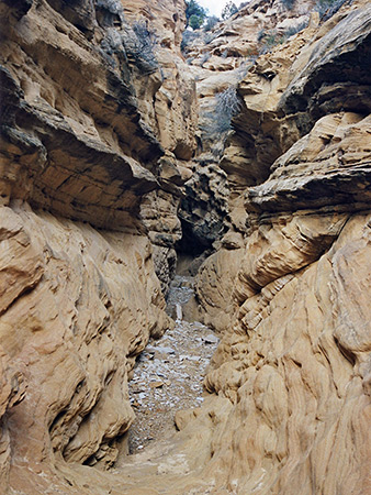 Photographs of Devils Canyon