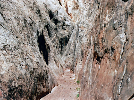 Photographs of Ding and Dang Canyons