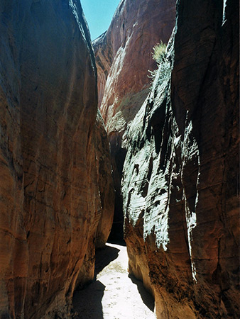 Photographs of Dry Fork of Coyote Gulch