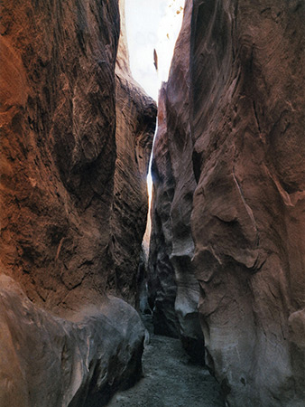 Photographs of Dry Fork of Coyote Gulch