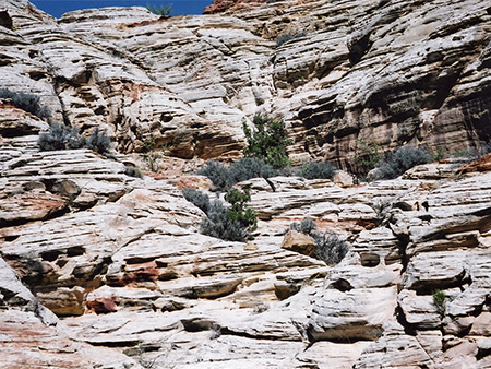Photographs of Eardley Canyon