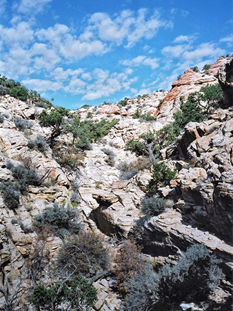 Photographs of Eardley Canyon