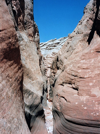 Photographs of Upper Kaibito Creek, East Fork