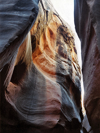 Photographs of Five Mile Wash