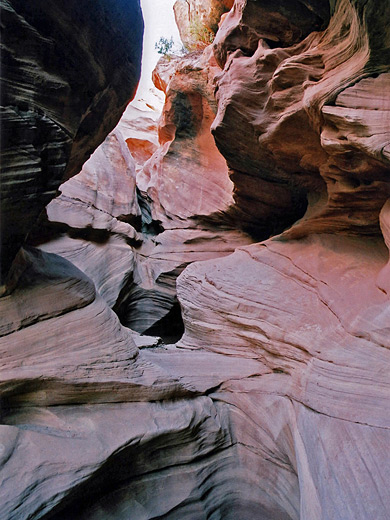 Photographs of Fortknocker Canyon