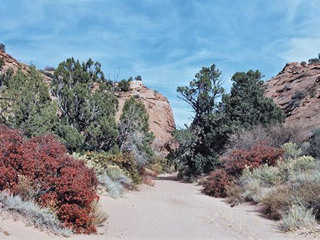 Photographs of Harris Wash