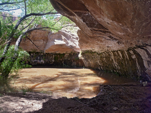 Grotto and a deep, muddy pool
