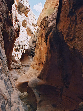 Photographs of North Fork of Iron Wash