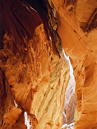 Enclosed chamber