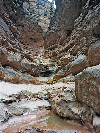 Photographs of Jackass Creek