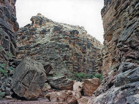 Photographs of Jackass Creek