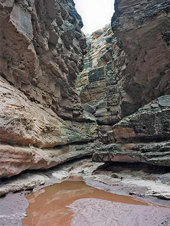 Photographs of Jackass Creek