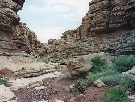 Photographs of Jackass Creek