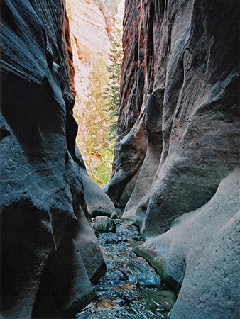 Photographs of Kanarra Creek