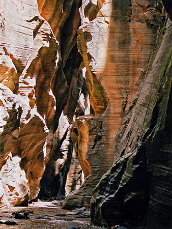 Photographs of Kolob Creek