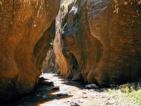Photographs of Kolob Creek