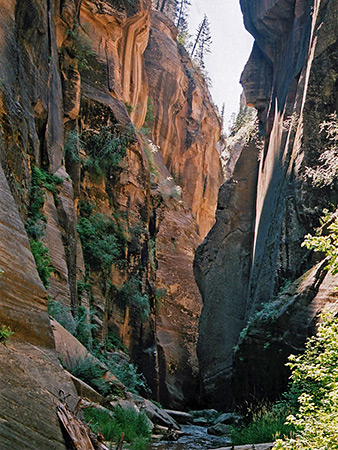 Photographs of Kolob Creek