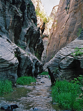 Photographs of Kolob Creek