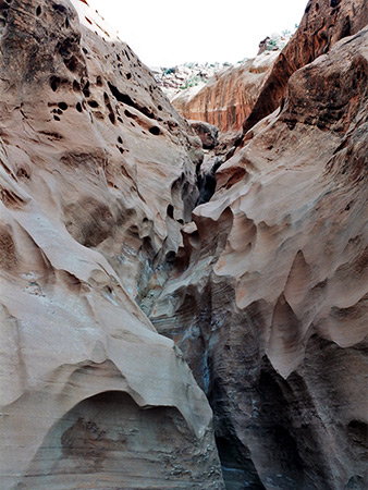 Photographs of Little Death Hollow