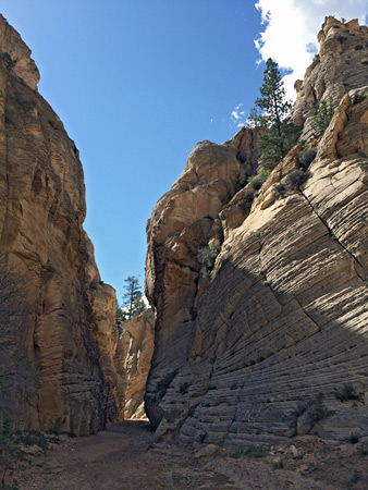 Photographs of Lick Wash