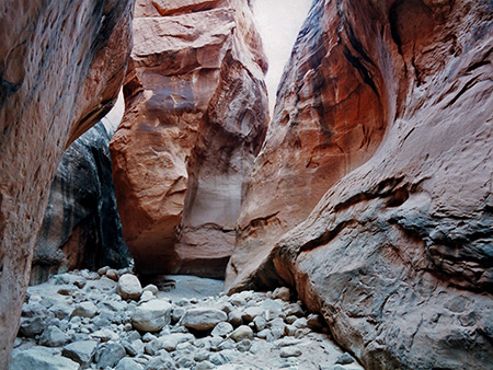 Photographs of Llewellyn Gulch