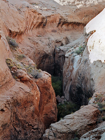 Photographs of Llewellyn Gulch