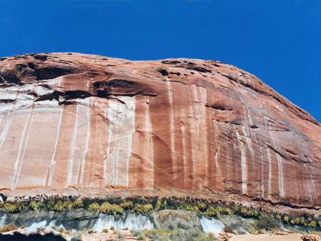 Photographs of Llewellyn Gulch