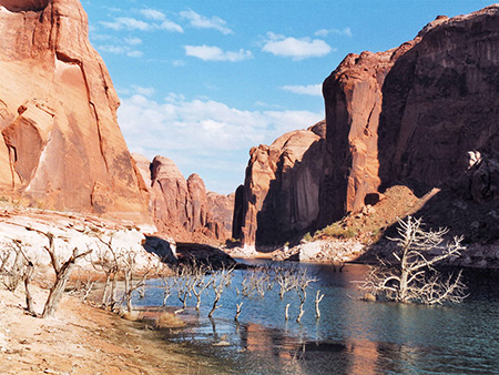 Photographs of Llewellyn Gulch