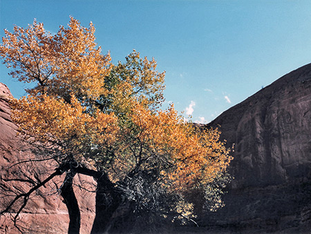 Photographs of Llewellyn Gulch