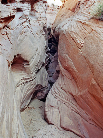 Photographs of Left Branch, West Fork of Butler Canyon