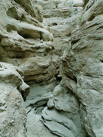 Photographs of Anza Borrego Desert State Park