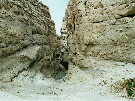 Photographs of Anza Borrego Desert State Park