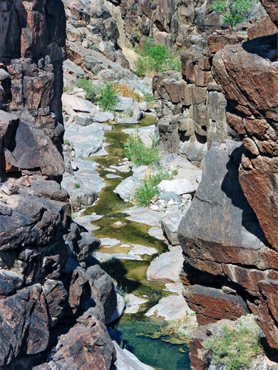 Photographs of Milkweed Canyon