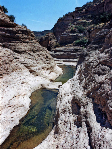 Photographs of Milkweed Canyon