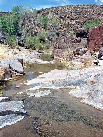 Photographs of Milkweed Canyon