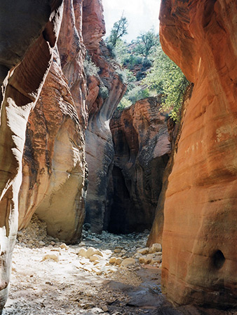 Photographs of Mineral Gulch