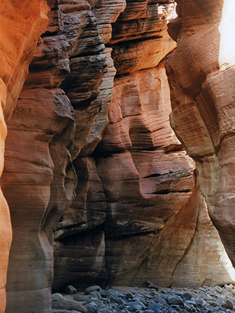 Photographs of Mineral Gulch