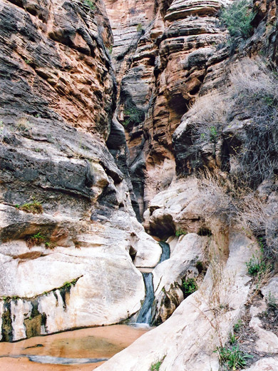 Pools and cascades near the junction with Parunuweap Canyon