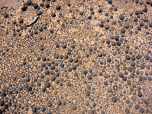 Sandstone balls in Spencer Canyon