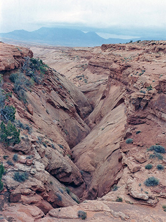 Photographs of Middle Branch, West Fork of Butler Canyon