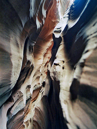 Photographs of Middle Branch, West Fork of Butler Canyon