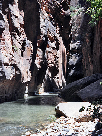 Photographs of Zion Narrows
