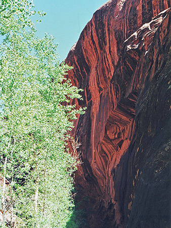 Photographs of Neon Canyon
