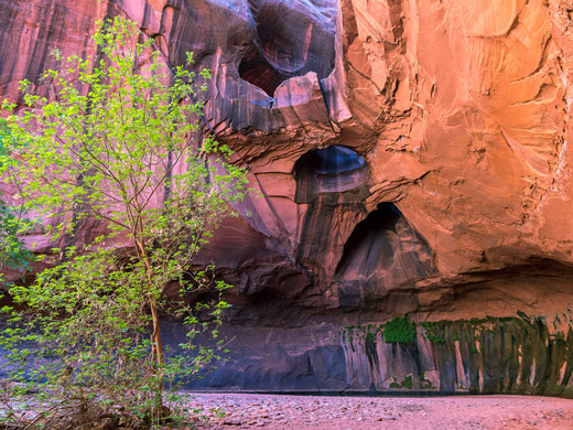 Photographs of Neon Canyon