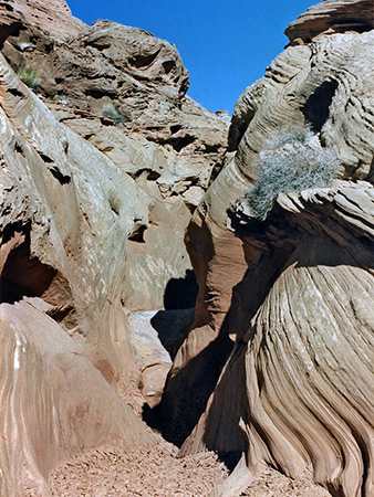 Photographs of Tributaries of North Wash - Canyon One