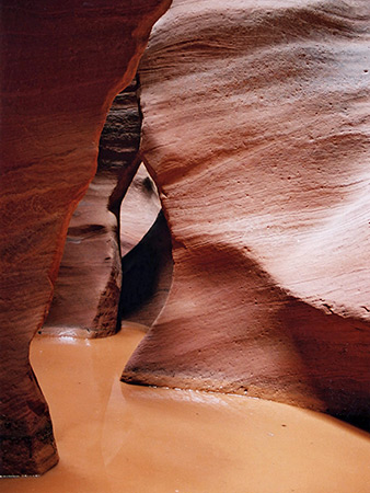 Pool in the canyon