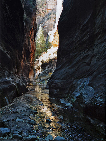 Photographs of Orderville Canyon