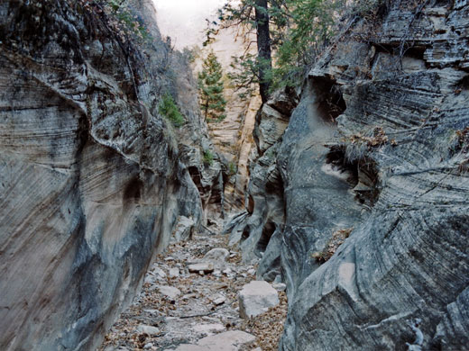 Shallow enclosed passage, Orderville Canyon
